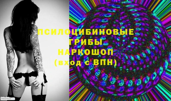 крисы Алексин