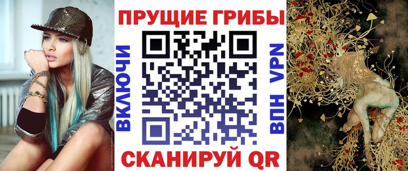 где найти   Фрязино  Галлюциногенные грибы Psilocybe 